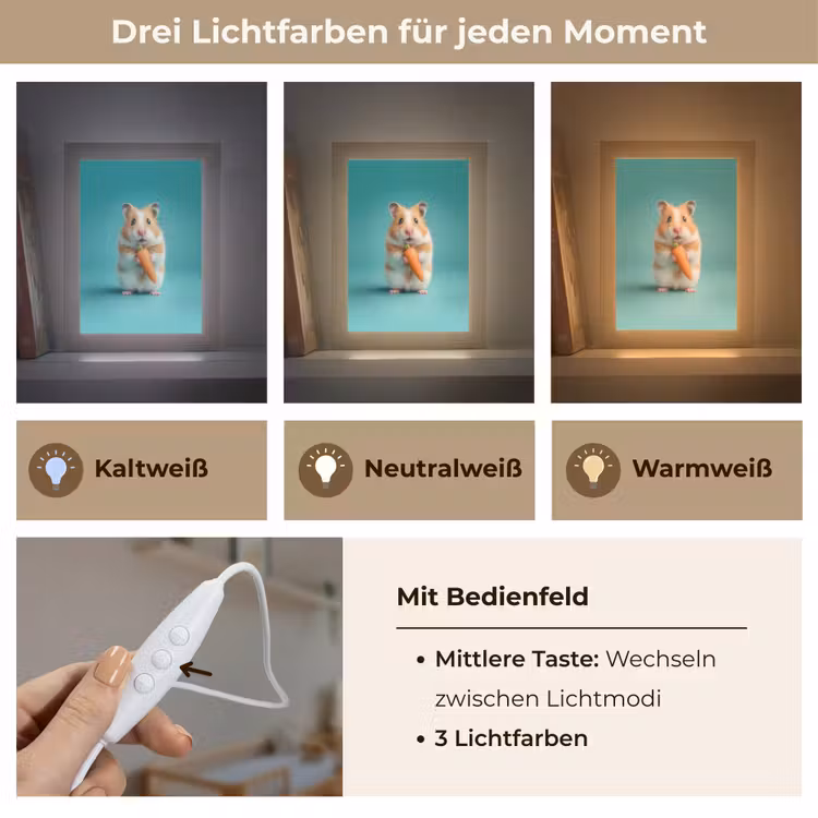 Hamster - Wortel - Blauw Light Box met kabel klein -USP_lichtkleurDE