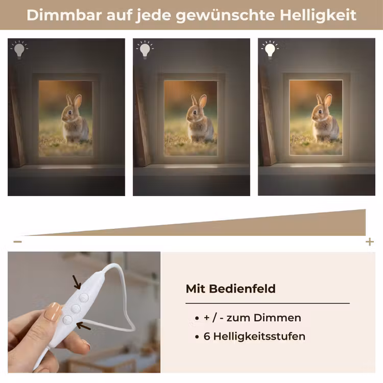 Konijntje - Bruin - Gras Light Box met kabel klein -USP_dimbaarDE