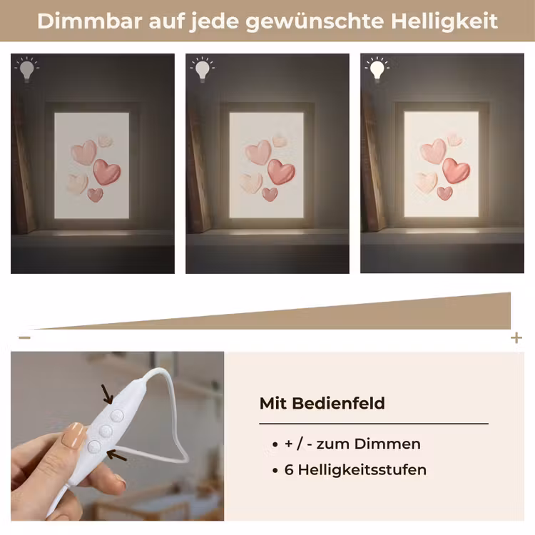 Harten - Rood - Roze - Zwevend Light Box met kabel klein -USP_dimbaarDE
