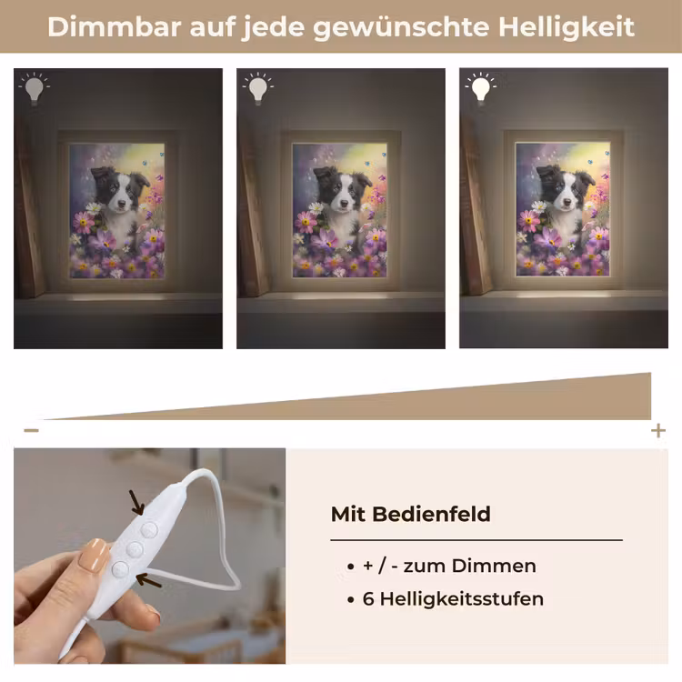 Hond - Bloemen - Natuur - Puppy - Bordercollie Light Box met kabel klein -USP_dimbaarDE