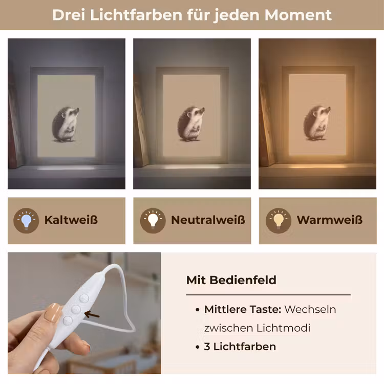 Egel - Snuitje - Bruin - Stekels Light Box met kabel klein -USP_lichtkleurDE