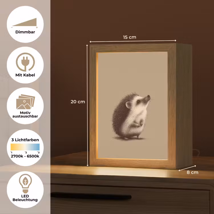 Egel - Snuitje - Bruin - Stekels Light Box met kabel (Kinderlampje) klein -USP_websiteoverzichtDE