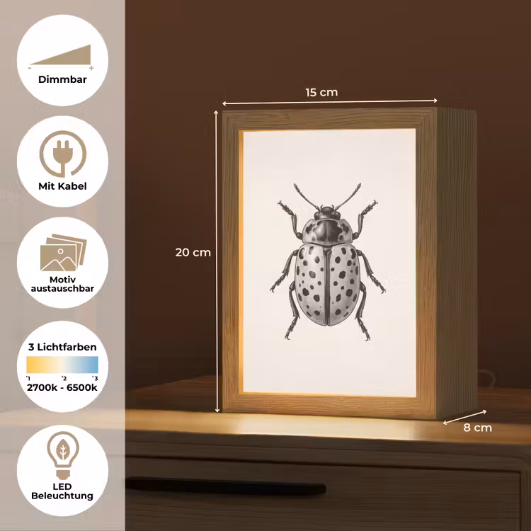 Kever - Insect - Vintage Light Box met kabel (Kinderlampje) klein -USP_websiteoverzichtDE