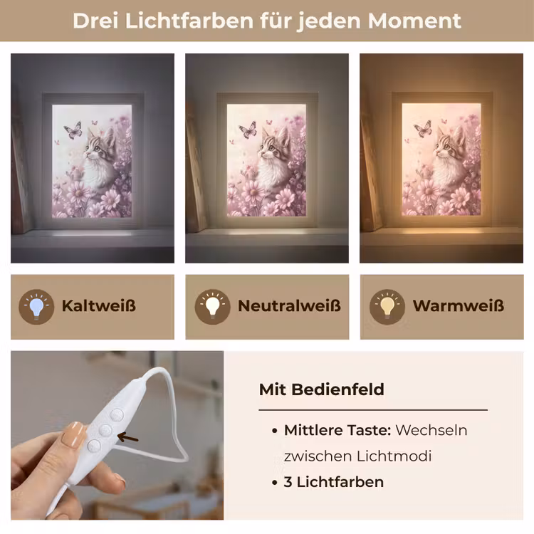 Kitten - Bloemen - Vlinders - Paars Light Box met kabel klein -USP_lichtkleurDE