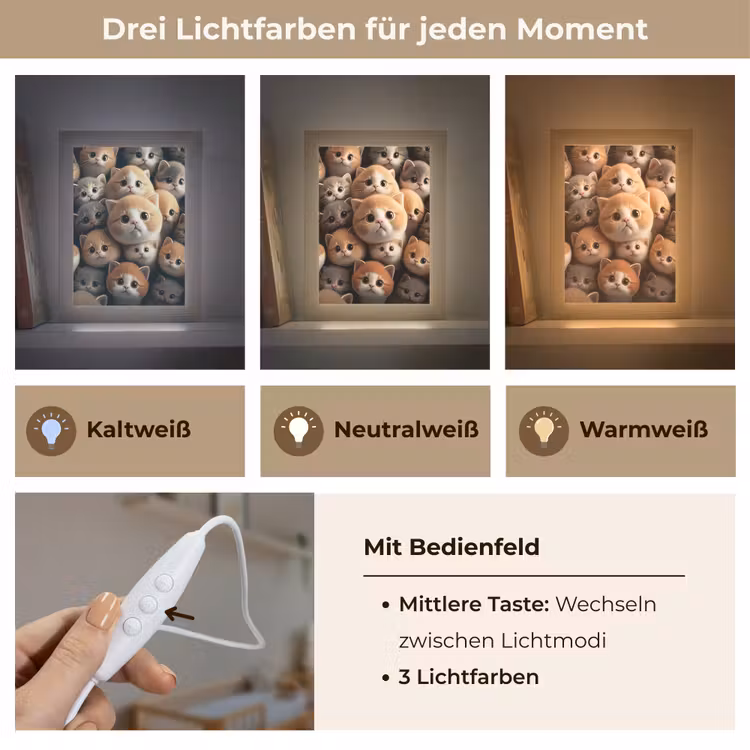 Katten - Huisdieren - Kitten - Design - Jongens - Meisjes Light Box met kabel klein -USP_lichtkleurDE
