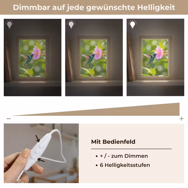 Kolibrie - Bloem - Natuur - Groen Light Box met kabel (Kinderlampje) klein -USP_dimbaarDE