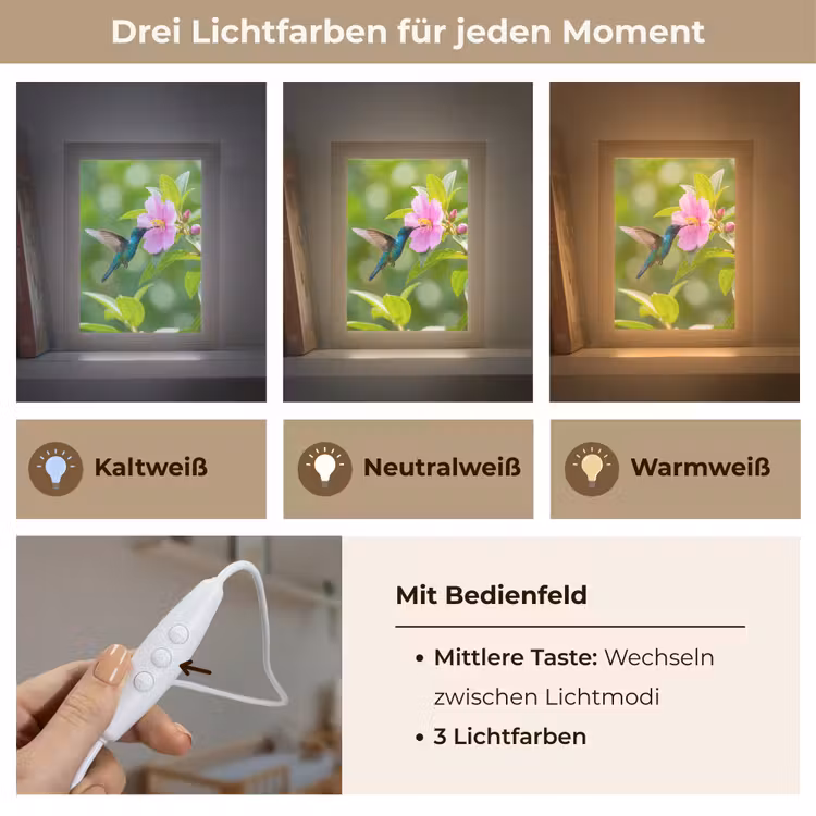Kolibrie - Bloem - Natuur - Groen Light Box met kabel (Kinderlampje) klein -USP_lichtkleurDE