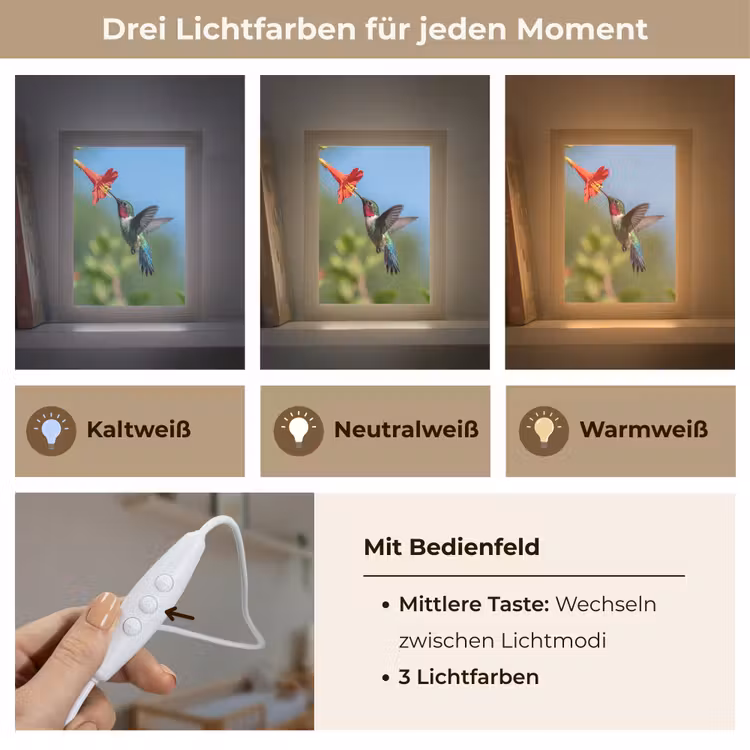 Kolibrie - Bloem - Natuur - Groen Light Box met kabel (Kinderlampje) klein -USP_lichtkleurDE