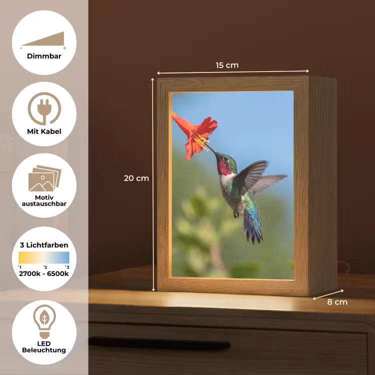 Kolibrie - Bloem - Natuur - Groen Light Box met kabel (Kinderlampje) klein -USP_websiteoverzichtDE