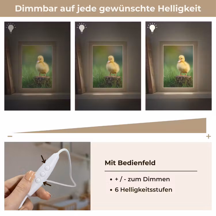 Kuiken - Eend - Geel - Gras Light Box met kabel klein -USP_dimbaarDE