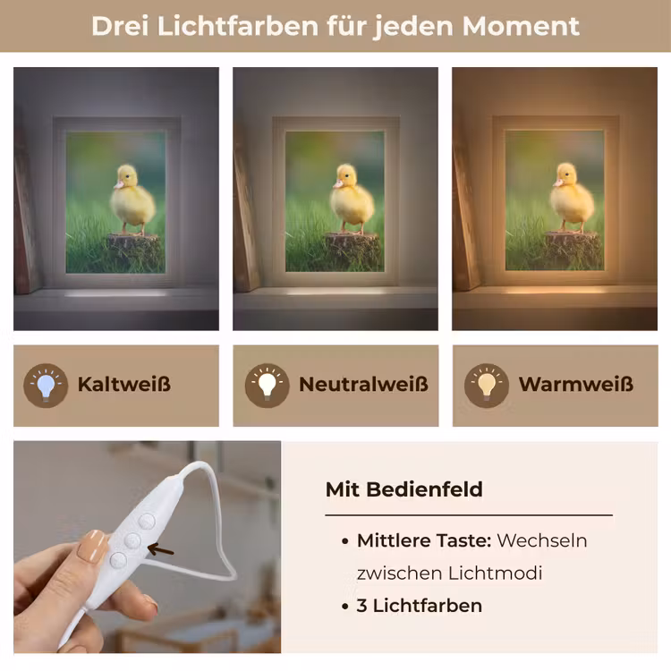 Kuiken - Eend - Geel - Gras Light Box met kabel klein -USP_lichtkleurDE