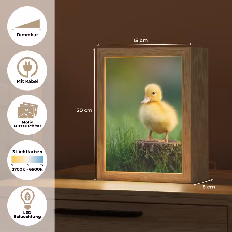 Kuiken - Eend - Geel - Gras Light Box met kabel (Kinderlampje) klein -USP_websiteoverzichtDE