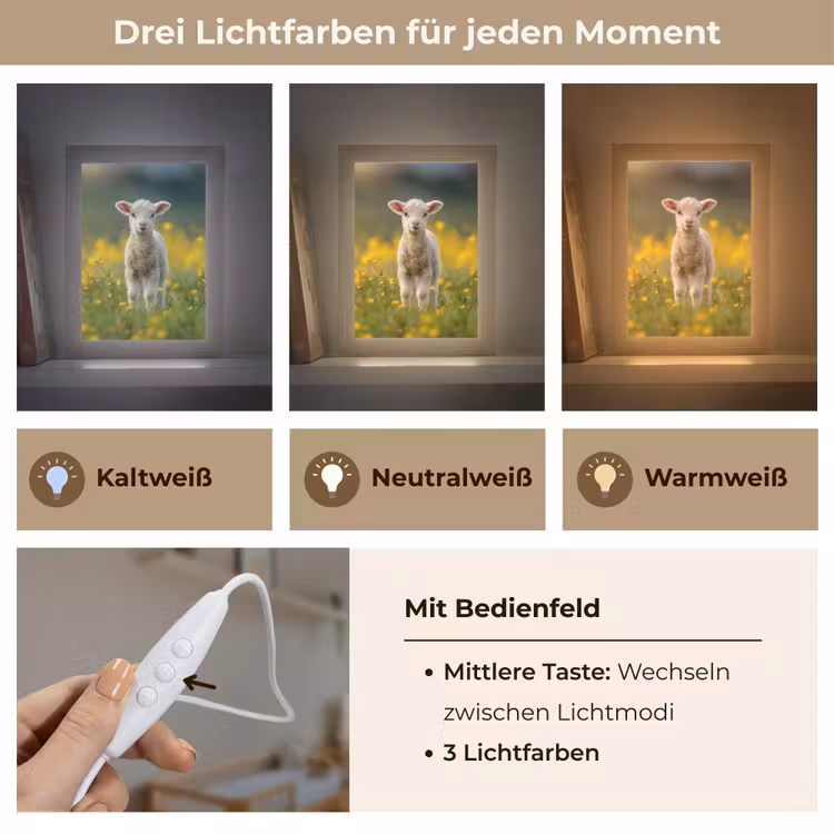 Lammetje - Gras - Bloemen - Geel Light Box met kabel klein -USP_lichtkleurDE