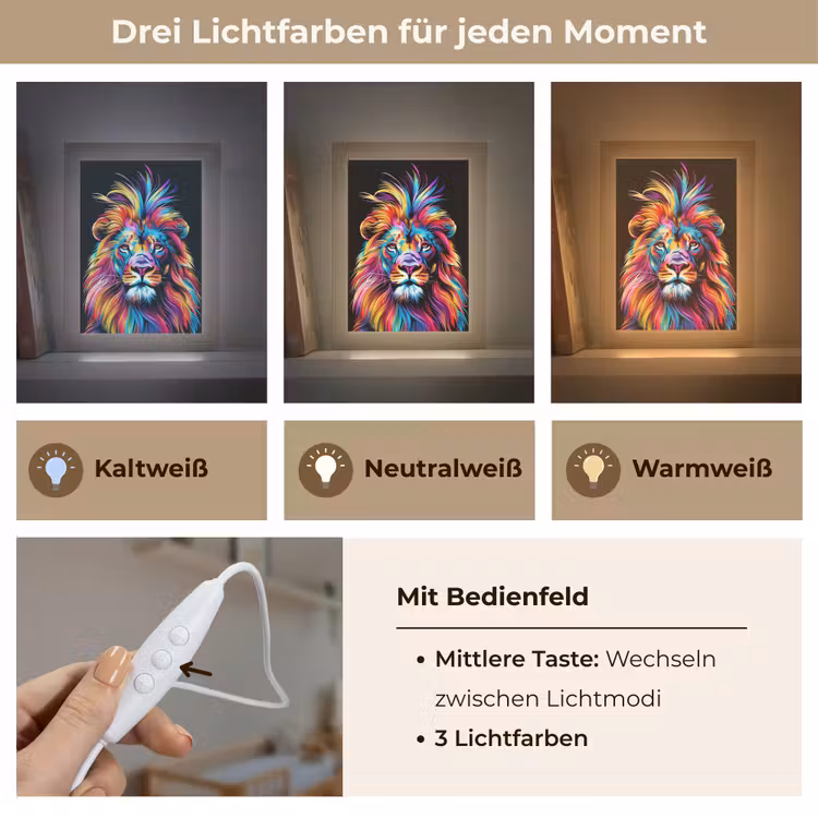 Leeuwen - Kleurrijk - Zwart - Dieren Light Box met kabel klein -USP_lichtkleurDE