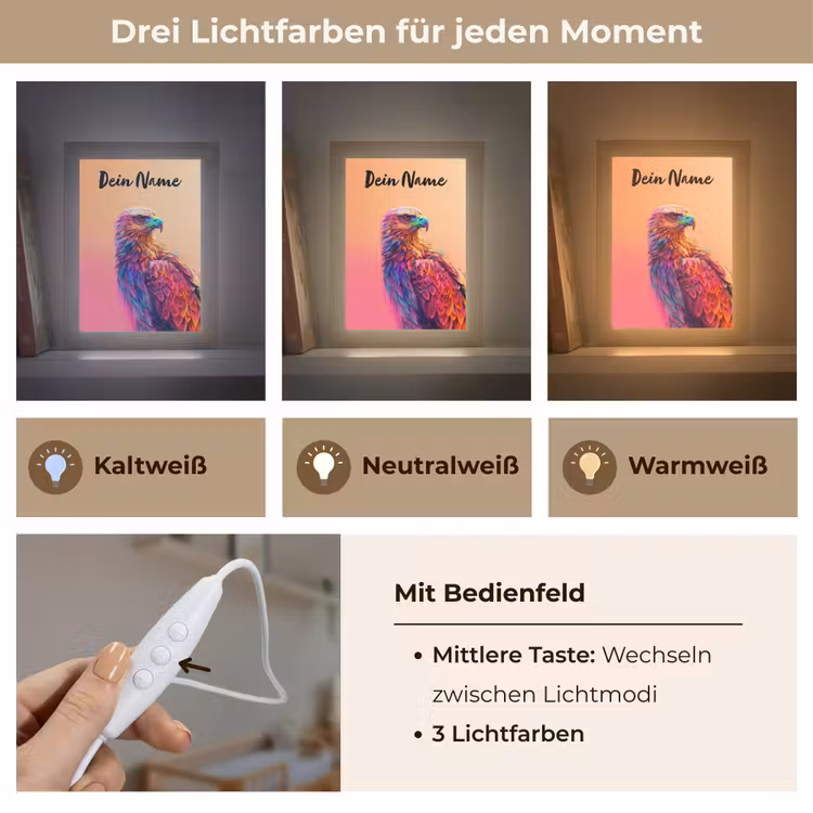 Arend - Vogel - Kleurrijk - Dier Light Box met kabel (Kinderlampje) klein -USP_lichtkleurDE