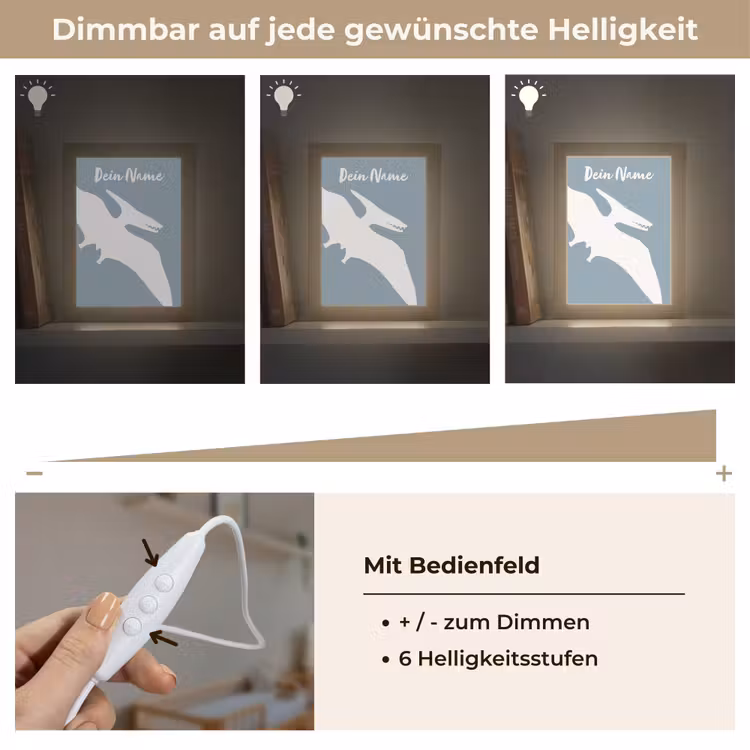 Dino - Pteranodon - Dinosaurus - Blauw Light Box met kabel (Kinderlampje) klein -USP_dimbaarDE