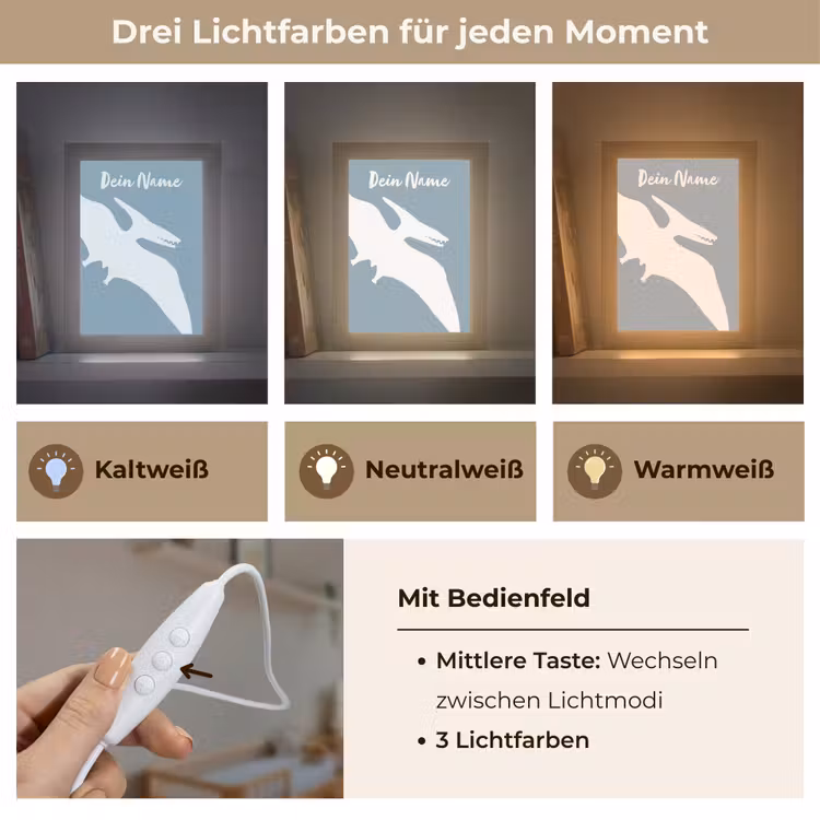 Dino - Pteranodon - Dinosaurus - Blauw Light Box met kabel (Kinderlampje) klein -USP_lichtkleurDE