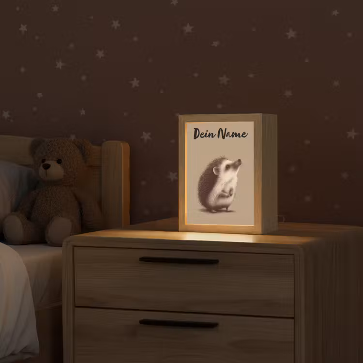 Egel - Snuitje - Bruin - Stekels Light Box met kabel (Kinderlampje) klein -sfeer1_kind
