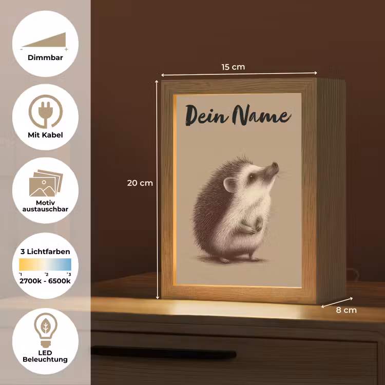 Egel - Snuitje - Bruin - Stekels Light Box met kabel (Kinderlampje) klein -USP_websiteoverzichtDE