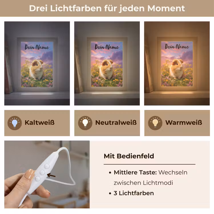 Cavia - Kleurrijk - Bloemen Light Box met kabel (Kinderlampje) klein -USP_lichtkleurDE