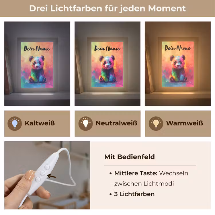 Panda - Dieren - Kleurrijk - Neon Light Box met kabel (Kinderlampje) klein -USP_lichtkleurDE
