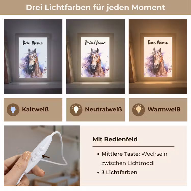 Paard - Dieren - Meisjes - Paars - Bruin Light Box met kabel (Kinderlampje) klein -USP_lichtkleurDE