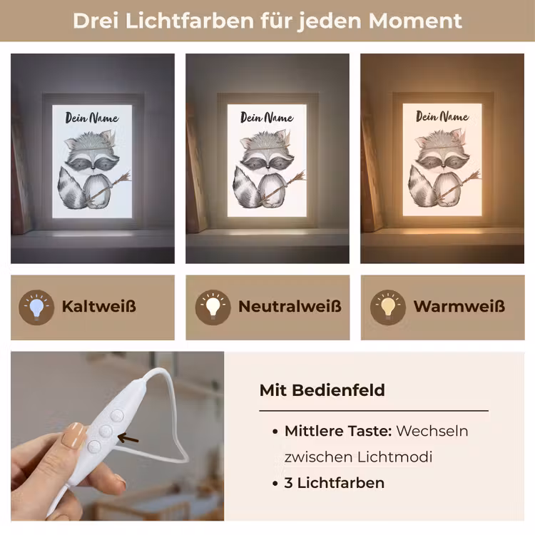Wasbeer - Dier - Bosdieren Light Box met kabel (Kinderlampje) klein -USP_lichtkleurDE