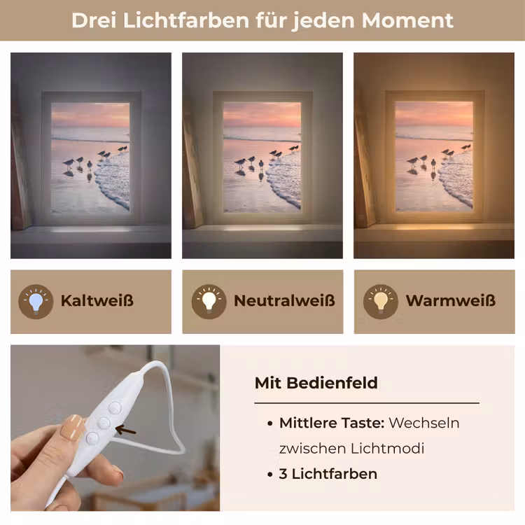 Meeuwen - Strand - Zee - Roze Light Box met kabel (Kinderlampje) klein -USP_lichtkleurDE