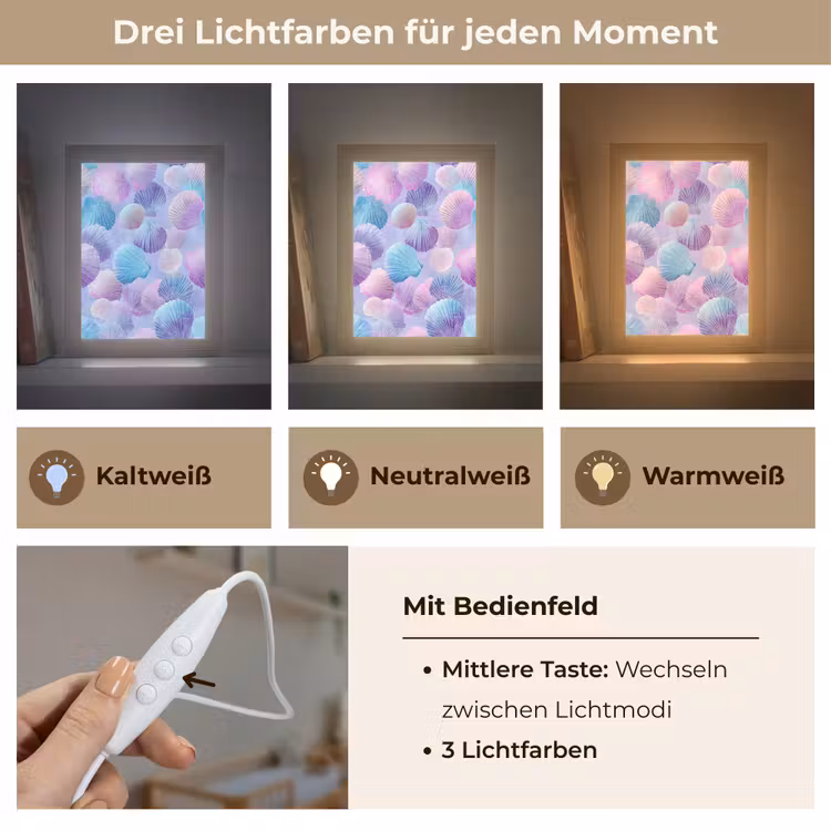 Schelpen - Paars - Blauw - Patroon Light Box met kabel klein -USP_lichtkleurDE