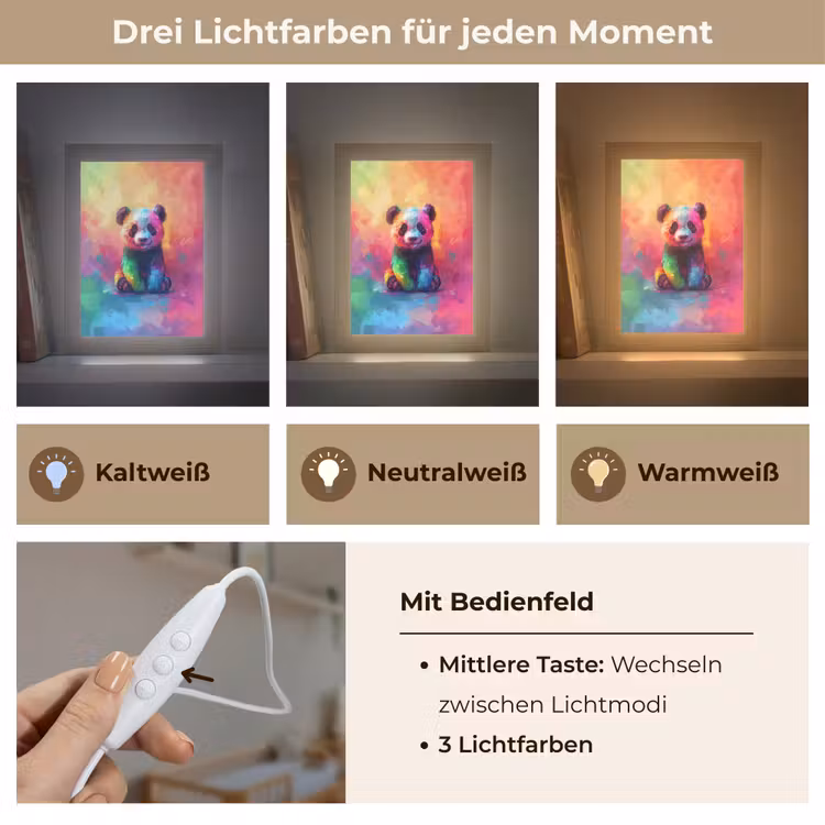 Panda - Dieren - Kleurrijk - Neon Light Box met kabel klein -USP_lichtkleurDE