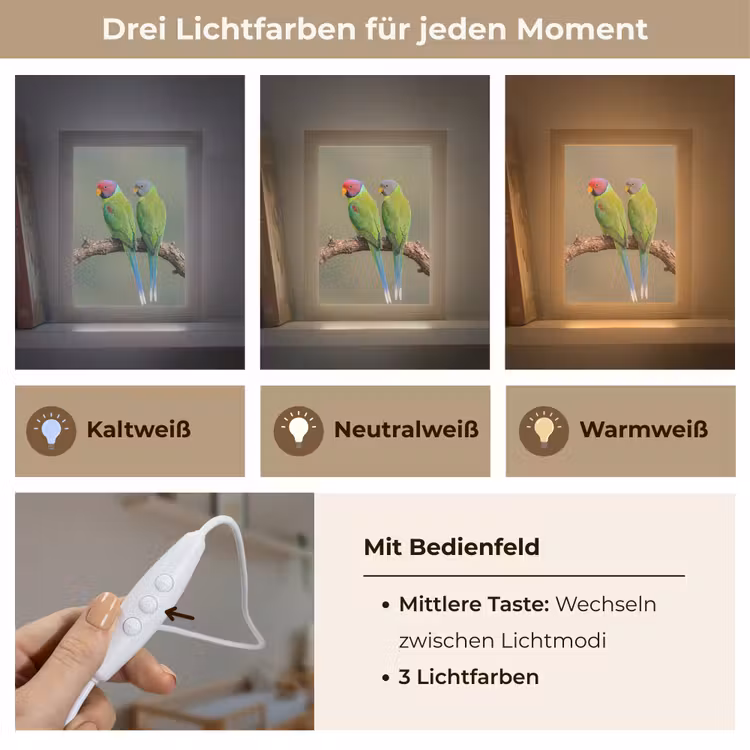 Papagaai - Tak - Natuur - Kleurrijk Light Box met kabel (Kinderlampje) klein -USP_lichtkleurDE