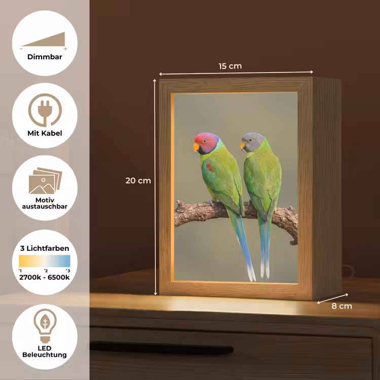 Papagaai - Tak - Natuur - Kleurrijk Light Box met kabel (Kinderlampje) klein -USP_websiteoverzichtDE