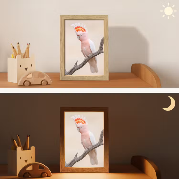Papagaai - Tak - Roze Light Box met kabel (Kinderlampje) klein -sfeer3_kind