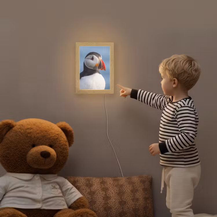 Papegaaiduiker - Portret - Natuur Light Box met kabel (Kinderlampje) klein -sfeer4a_kind