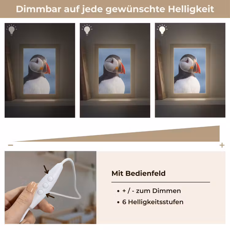 Papegaaiduiker - Portret - Natuur Light Box met kabel (Kinderlampje) klein -USP_dimbaarDE