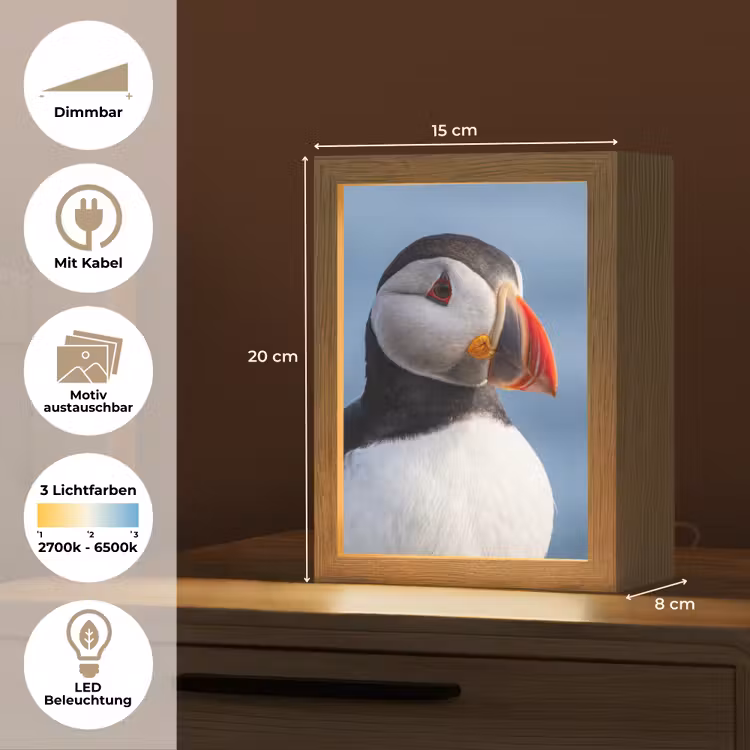Papegaaiduiker - Portret - Natuur Light Box met kabel (Kinderlampje) klein -USP_websiteoverzichtDE