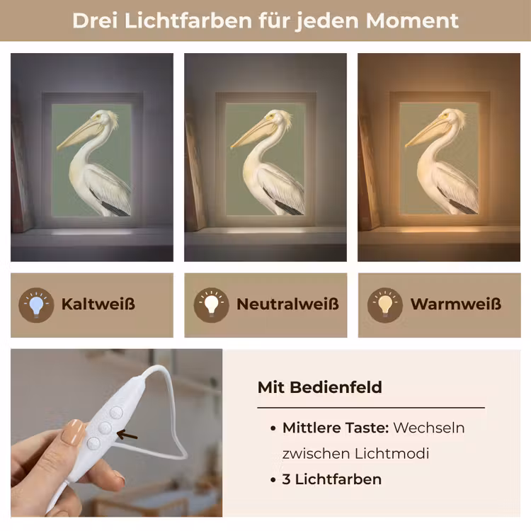 Pelikaan - Wit - Vogel - Klassiek - Natuur Light Box met kabel (Kinderlampje) klein -USP_lichtkleurDE