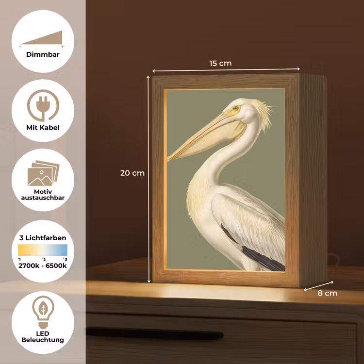 Pelikaan - Wit - Vogel - Klassiek - Natuur Light Box met kabel (Kinderlampje) klein -USP_websiteoverzichtDE