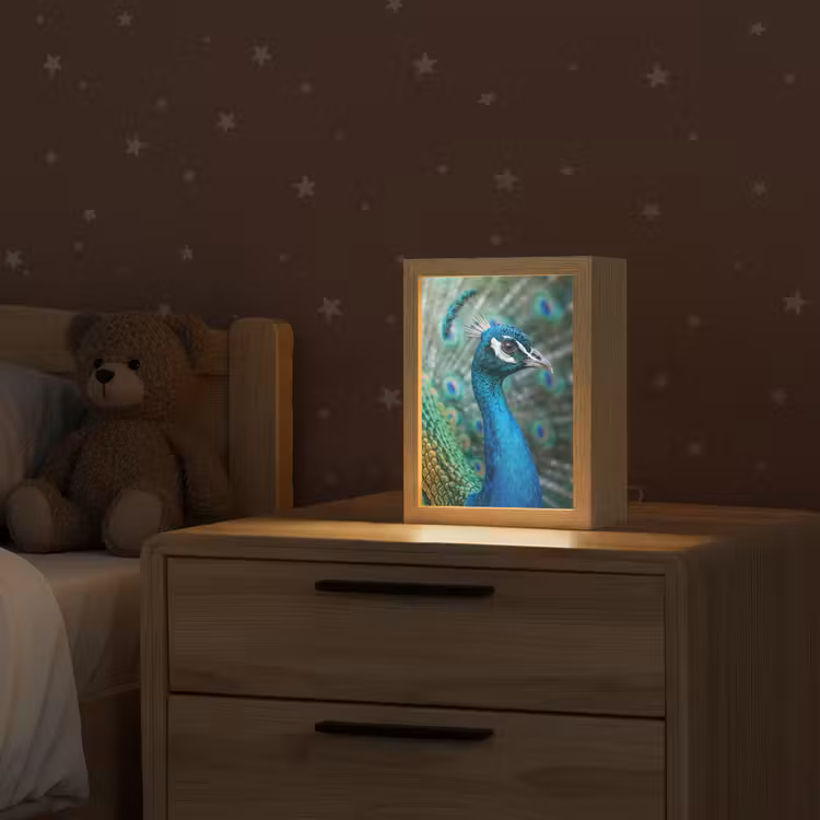 Pauw - Veren - Blauw Light Box met kabel (Kinderlampje) klein -sfeer1_kind