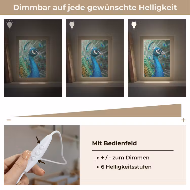 Pauw - Veren - Blauw Light Box met kabel (Kinderlampje) klein -USP_dimbaarDE