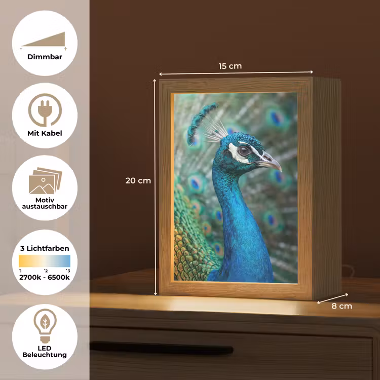 Pauw - Veren - Blauw Light Box met kabel (Kinderlampje) klein -USP_websiteoverzichtDE