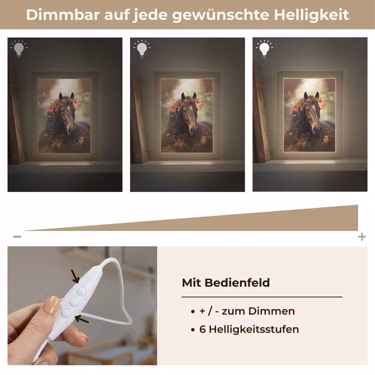 Paard - Dieren - Bloemen - Bos - Vlinder Light Box met kabel klein -USP_dimbaarDE