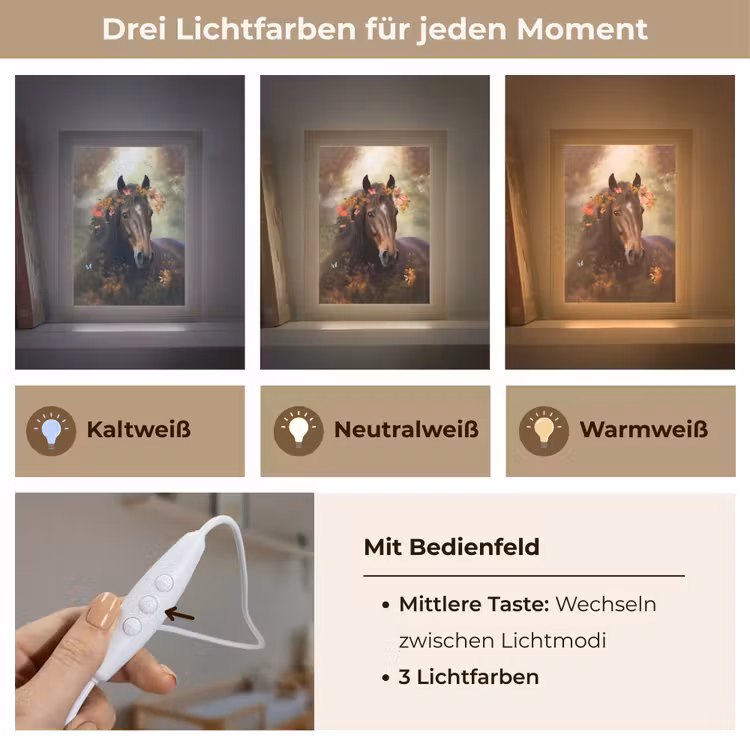Paard - Dieren - Bloemen - Bos - Vlinder Light Box met kabel klein -USP_lichtkleurDE