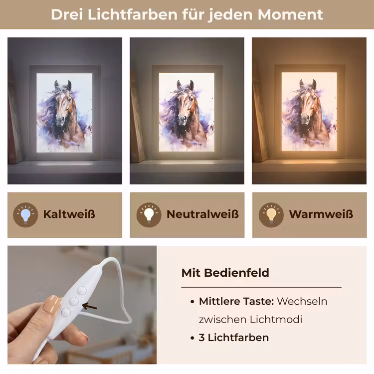 Paard - Dieren - Meisjes - Paars - Bruin Light Box met kabel klein -USP_lichtkleurDE