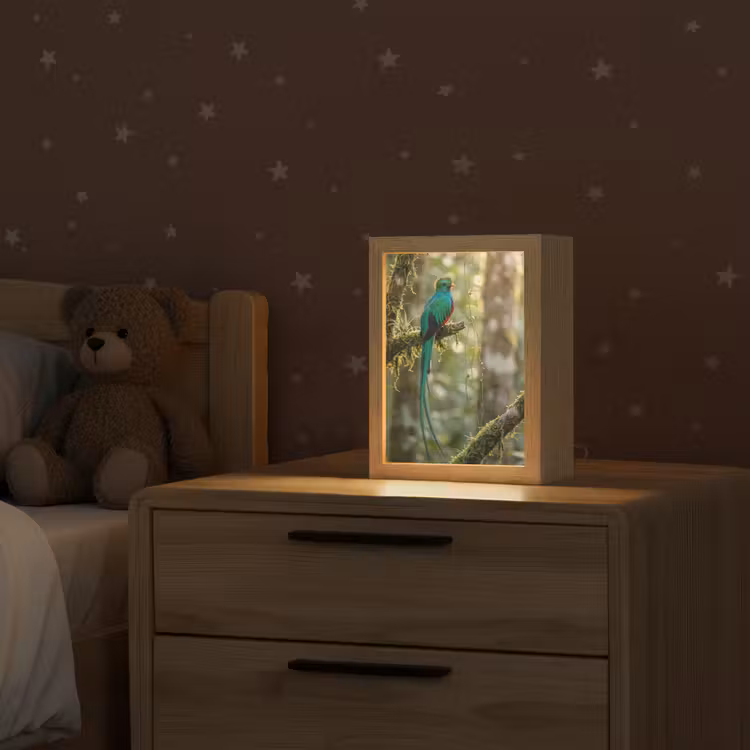 Quetzal - Jungle - Natuur - Groen Light Box met kabel (Kinderlampje) klein -sfeer1_kind