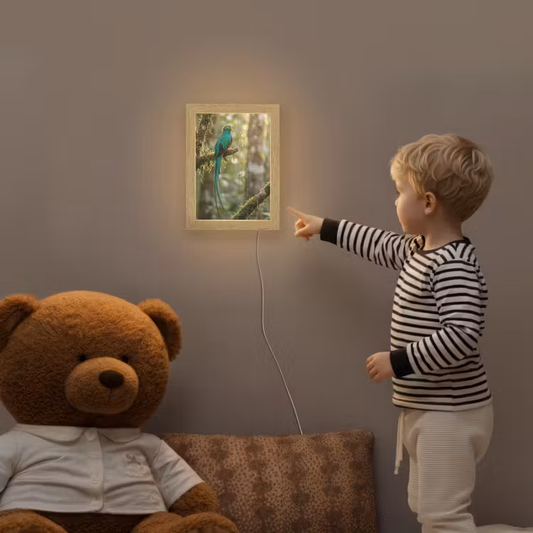 Quetzal - Jungle - Natuur - Groen Light Box met kabel (Kinderlampje) klein -sfeer4a_kind