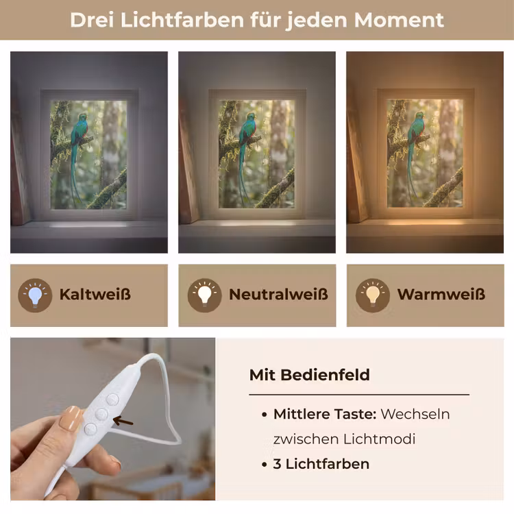 Quetzal - Jungle - Natuur - Groen Light Box met kabel (Kinderlampje) klein -USP_lichtkleurDE