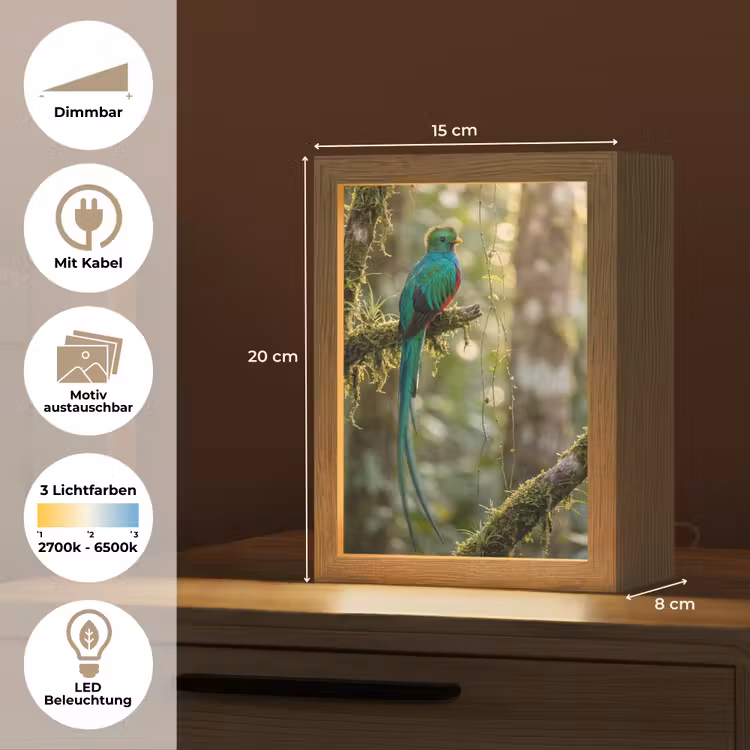 Quetzal - Jungle - Natuur - Groen Light Box met kabel (Kinderlampje) klein -USP_websiteoverzichtDE