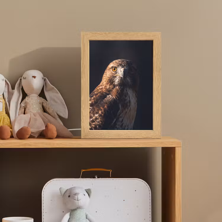 Roofvogel - Buizerd - Bruin Light Box met kabel (Kinderlampje) klein -sfeer2_kind