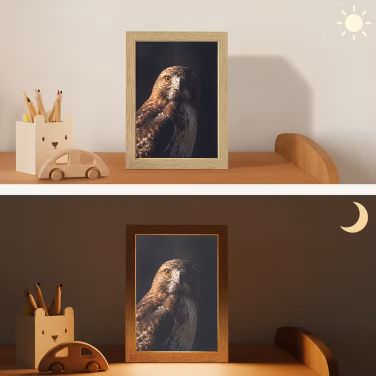Roofvogel - Buizerd - Bruin Light Box met kabel (Kinderlampje) klein -sfeer3_kind